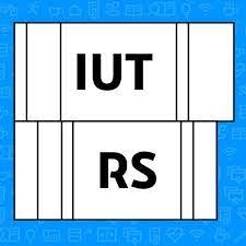 Logo de l'IUT Robert Schuman